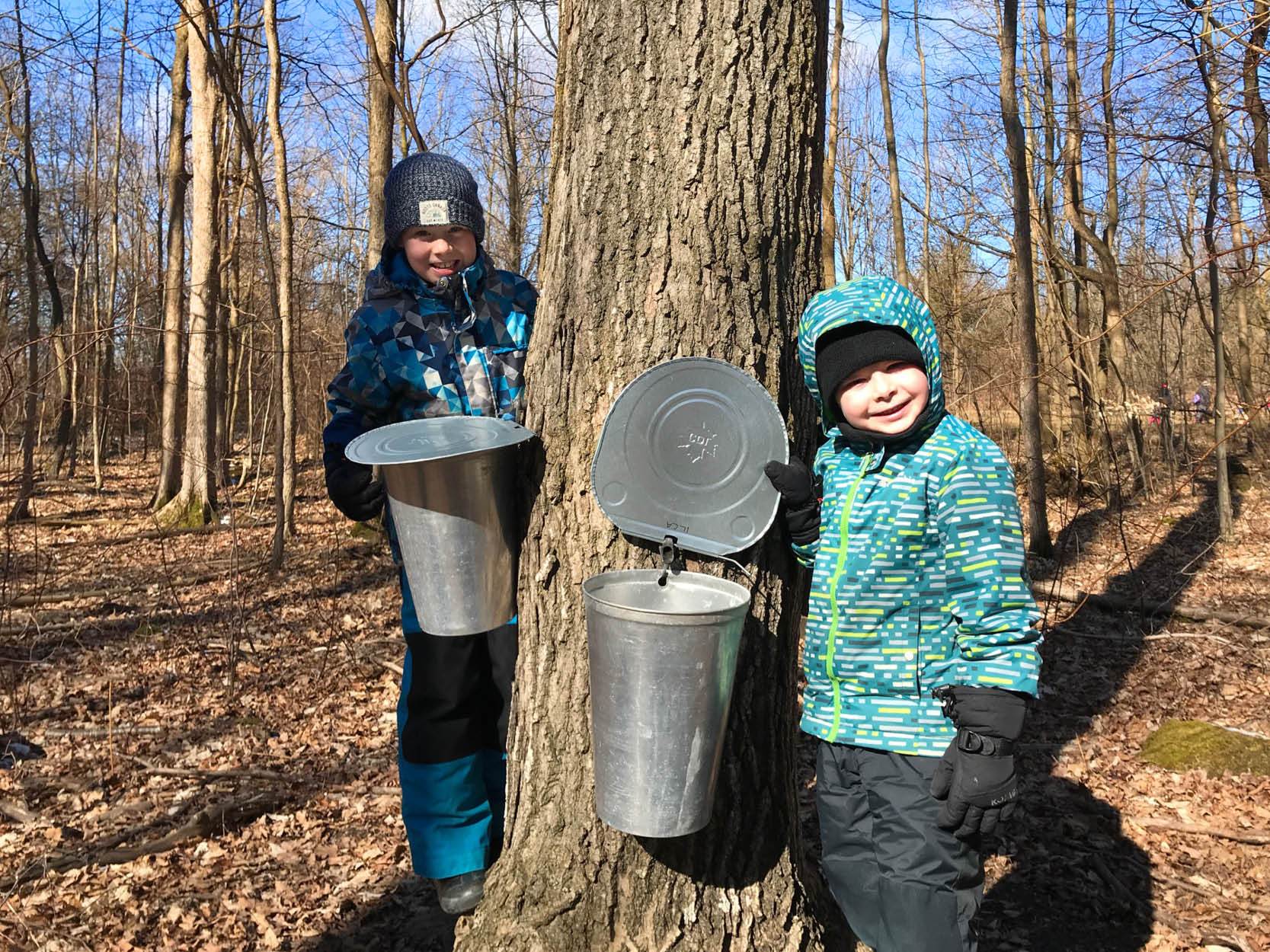 Two boys around a maple tree